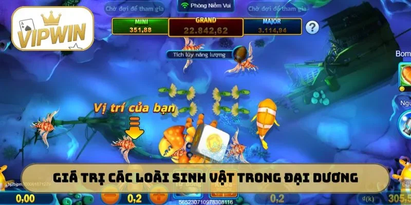 Giá trị các loài sinh vật trong đại dương